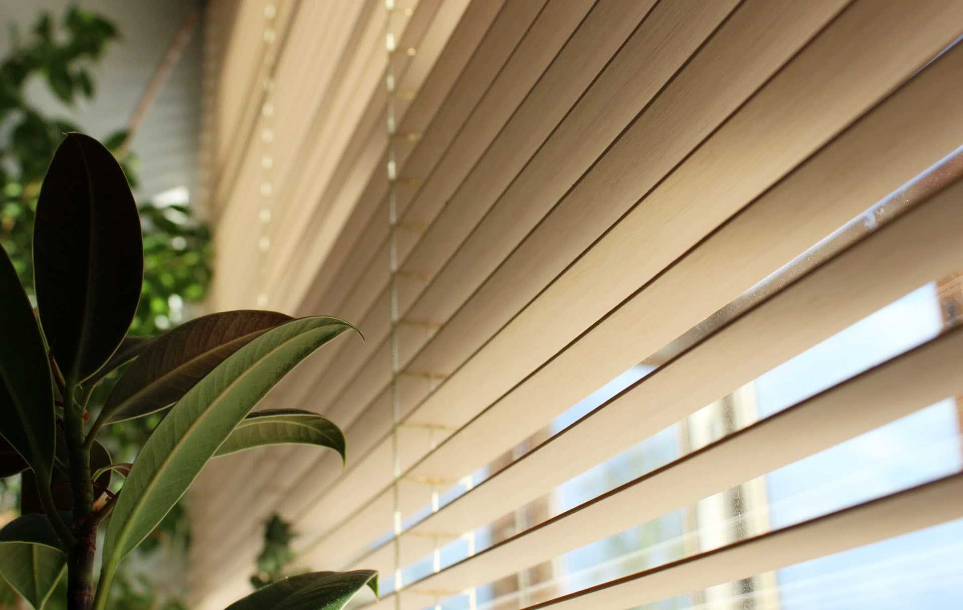Solicita más información para vestir tus ventanas